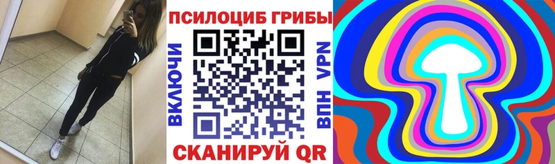 KRAKEN как войти  нарко площадка формула  Псилоцибиновые грибы Psilocybine cubensis  закладки  Горячий Ключ 